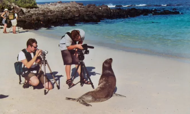 Photographing a sealion on a Galapagos cruise