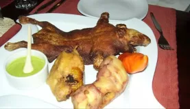 Poor little cuy, guinea pig.  