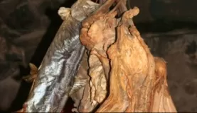 Dried fish and meat.