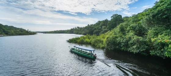 Traditional boat on the Rio Negro, Amazon