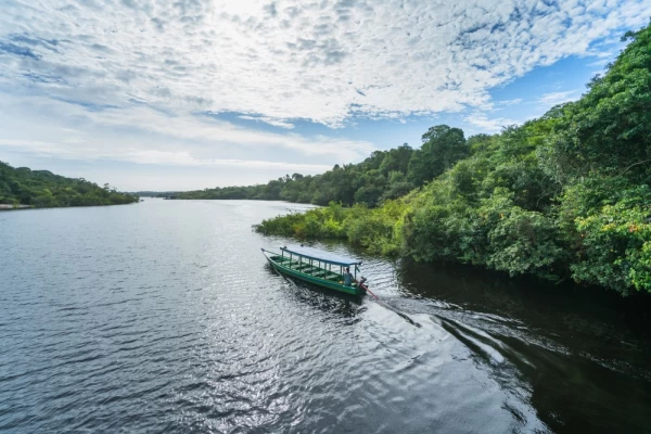 Traditional boat on the Rio Negro, Amazon