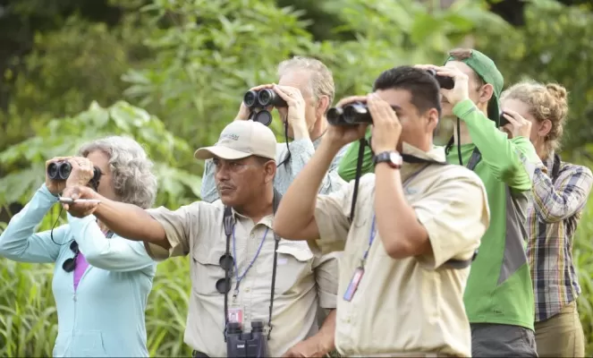 Guided excursion