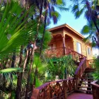 Way to Deluxe treehouse room