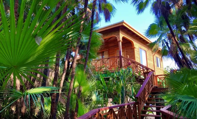 Way to Deluxe treehouse room