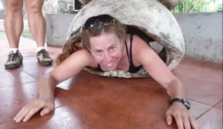 Try on a giant tortoise shell while visiting Santa Cruz island in the Galapagos!
