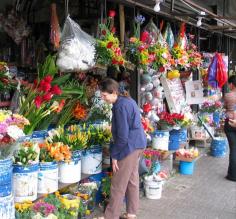 Wendy and Amy at the Flower Market