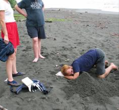 Turtle research: Alvaro excavates a nest