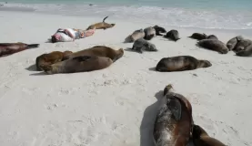 Good place for a nap for everyone
