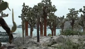 Santa Fe