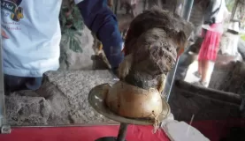 shrunken human head