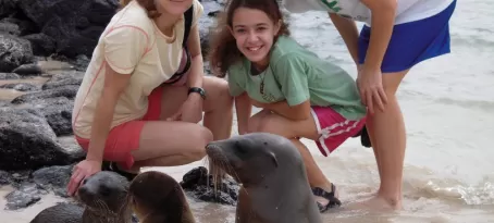 up close and personal with sea lions