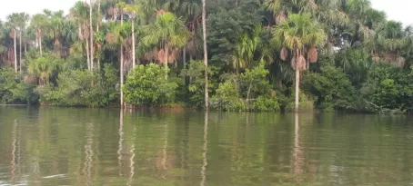 The Amazon Awaits Our Arrival