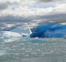 Calafate