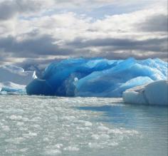 Calafate