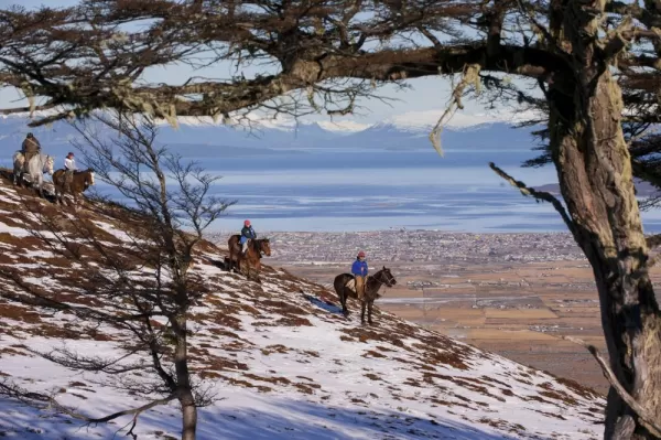 Horseback ride in patagonian field