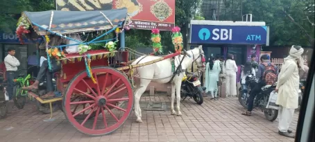 Another mode of transportation in India