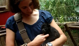Howler monkey - meet Beth (this guy\'s name is Brad Pitt)