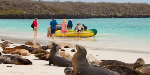 Explore secluded shores of the Galapagos on your small ship cruise