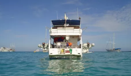 Equipped with two pangas, explore secluded shores in the Galapagos