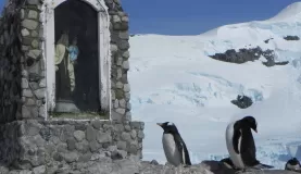 Penguins visit the saints