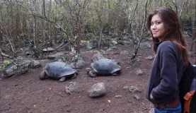 you just have to be there to appreciate these animals.