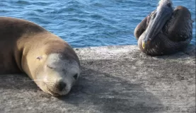 there certainly was no fear amongst all the animals we saw. they didn't really pay much attention to us.