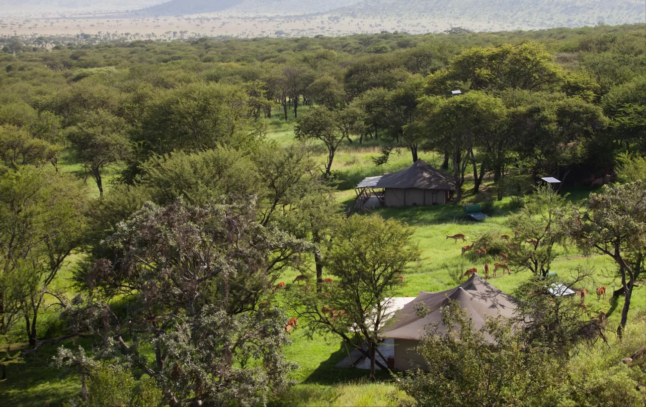 Elewana Serengeti Pioneer Camp - Aerial View