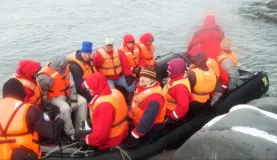 Boarding the zodiacs