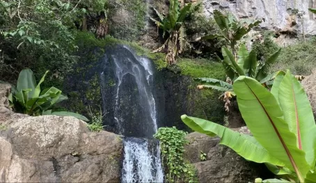 Waterfall Hike - Elephant Caves - Karatu