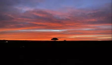 Sunrise in Serengeti National Park