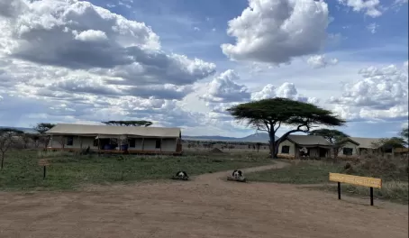 Siringit Serengeti Camp - Central Serengeti