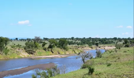 Mara River - Serengeti National Park