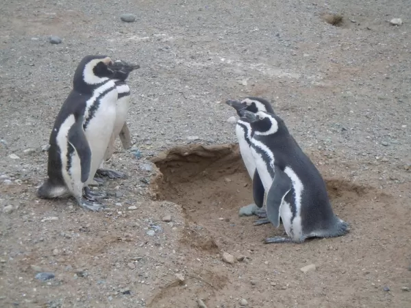 Staff meeting