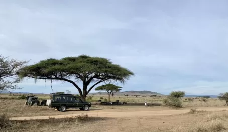Bush breakfast in Serengeti