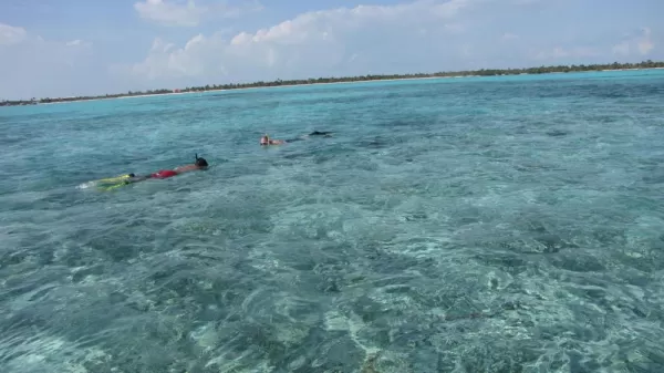 Snorkeling off Ambergris Caye