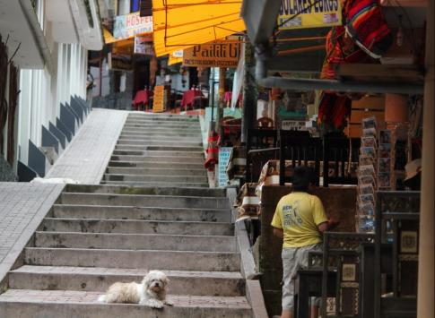 Steps of Aguas Calientes