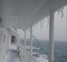 First morning in Antarctica