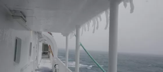 First morning in Antarctica