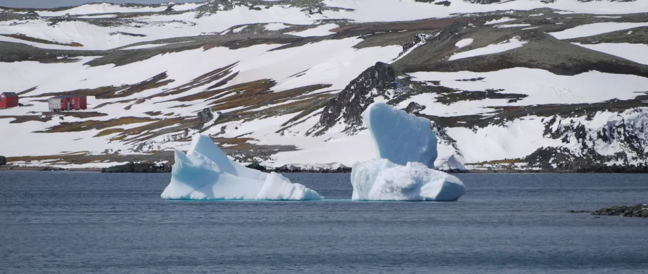 Blue icebergs near King George Island
