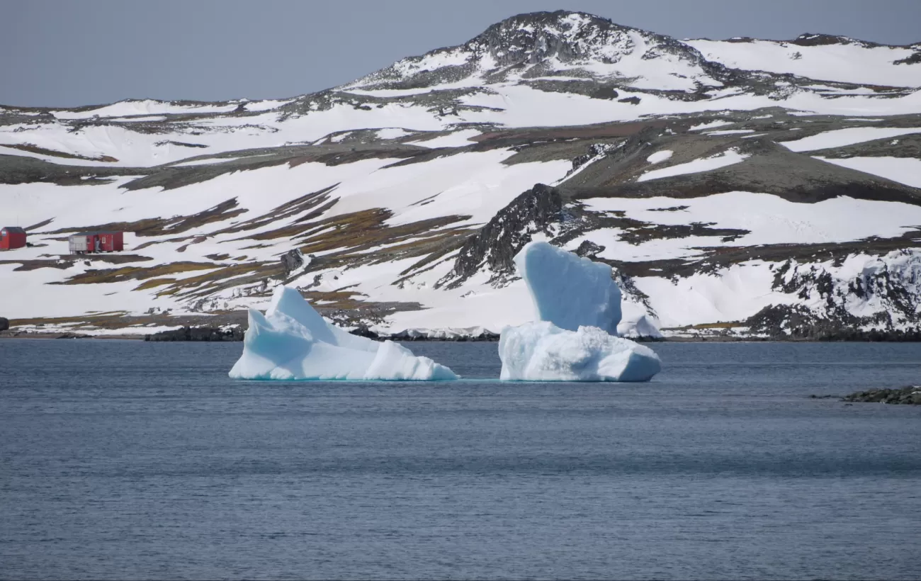 Blue icebergs near King George Island