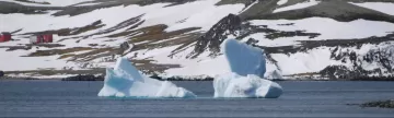 Blue icebergs near King George Island