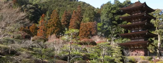 Rurikoji Temple