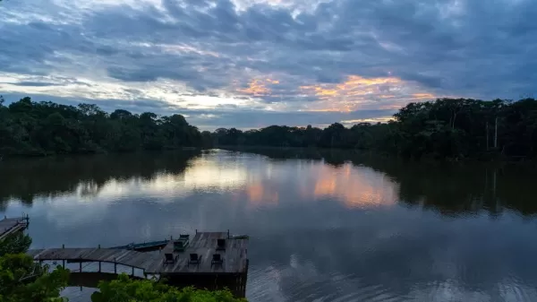 View along the banks of the Amazon river