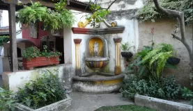 Gardens of Guatemala
