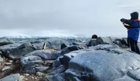 Snapping a photo of a penguin in Antarctica