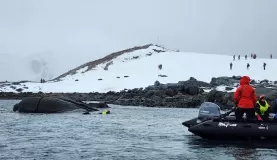 Snorkeling in Antarctica is well supported with a zodiac and allows for seeing penguins and seals underwater.