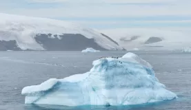 The view from the ship of the giant iceberg transporting some penguins.