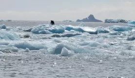 Ice floes in the Weddell Sea seemed to be more massive and frequent.