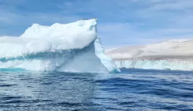 Penguins atop a giant iceberg.