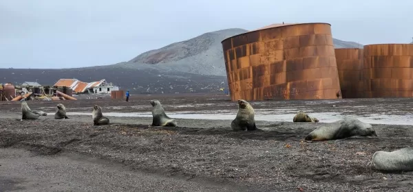 Whaler's Bay greeting team at Deception Island!